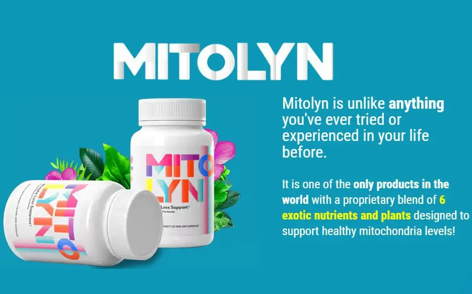 Mitolyn weight loss supports